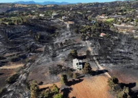 greek wildfire near athens eases after one death